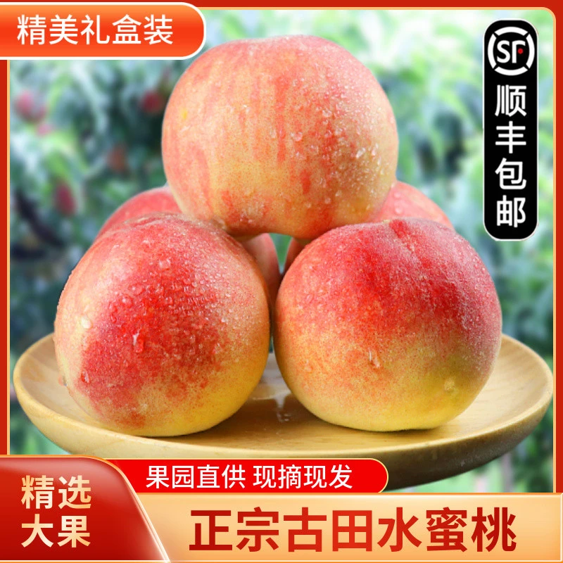 【顺丰】正宗福建古田白凤水蜜桃子脆甜桃孕妇新鲜水果现摘5斤礼果