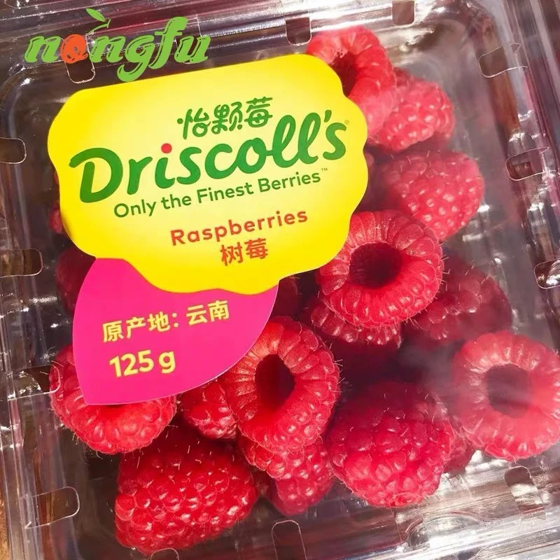 【红果地甄选】红树莓~多种规格