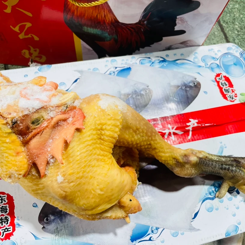 【红果地甄选】黑爪农家小笨鸡~