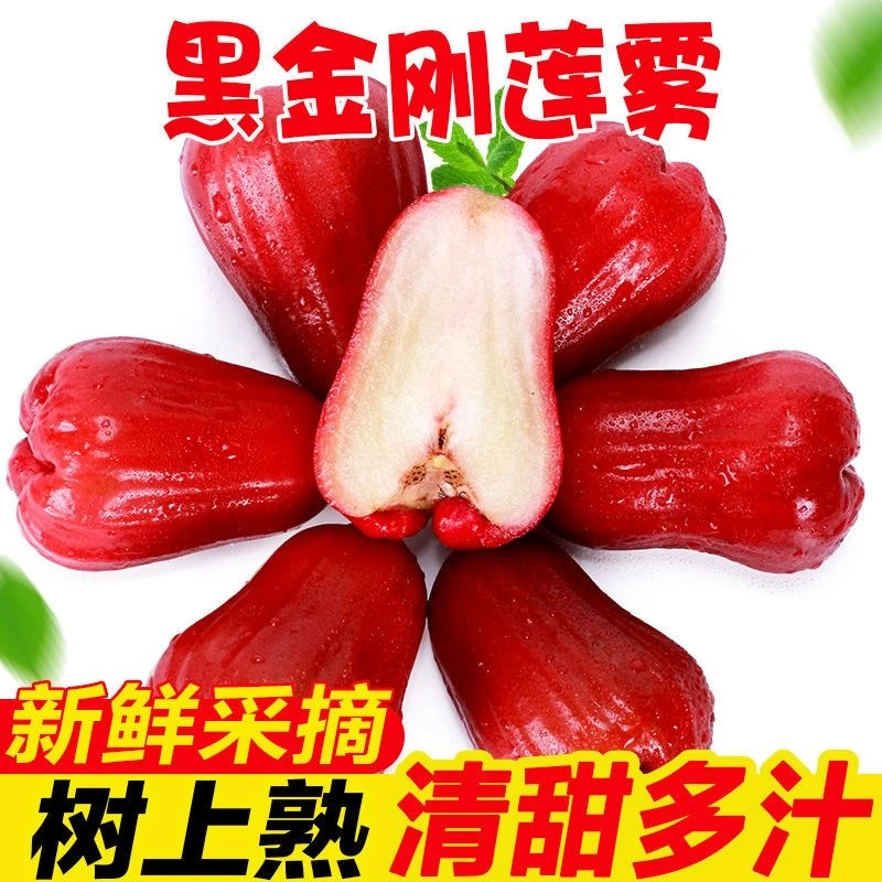 海南黑金刚莲雾新鲜水果热带水果仙女果脆甜多汁莲雾果1/3斤当季