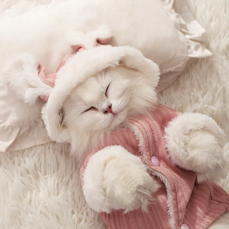 猫咪衣服秋装幼猫小猫冬天保暖布偶猫宠物防掉毛可爱猫猫四脚冬季