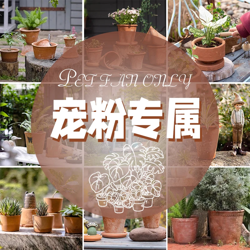 【秋语】直播间花艺集成链接仿真花绿植