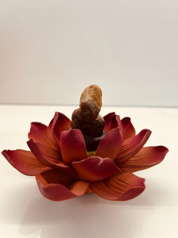 戈壁奇石直播下单链接