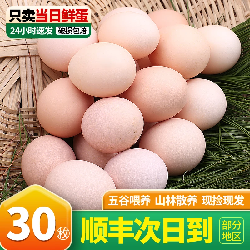 乡公馆鸡蛋新鲜土鸡蛋农家散养当日正宗草鸡蛋柴鸡蛋整箱营养好吃