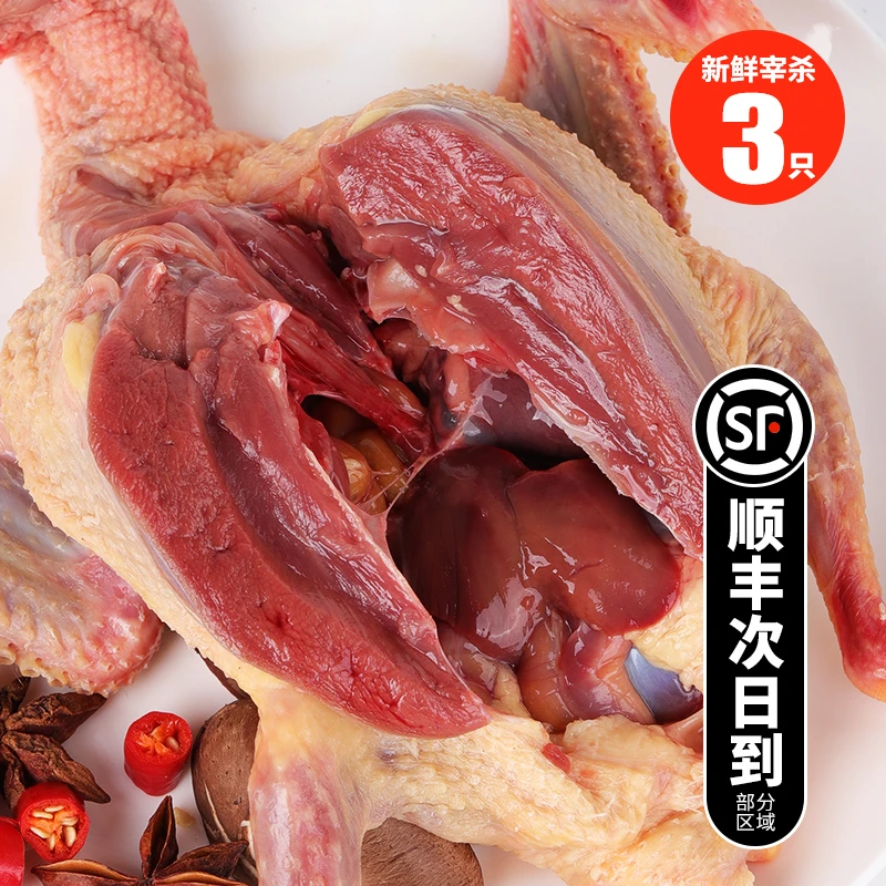鸽子现杀新鲜鸽子肉乳鸽生鲜鸽子肉肉鸽营养鸽子鲜嫩土鸽300g*3