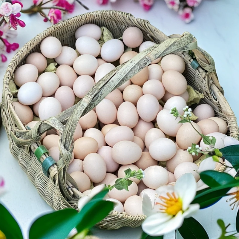 鸡蛋新鲜30枚土鸡蛋正宗农家散养农村柴草鸡蛋笨鸡蛋整箱批发