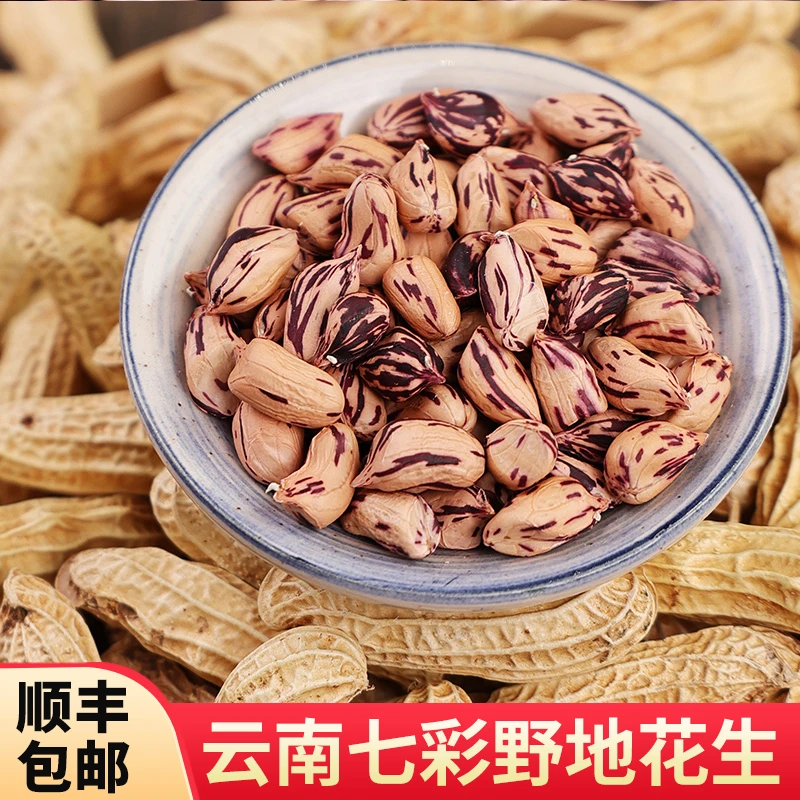 云南七彩花生云南特产野地花生花皮彩色新鲜花生带壳生花生新货