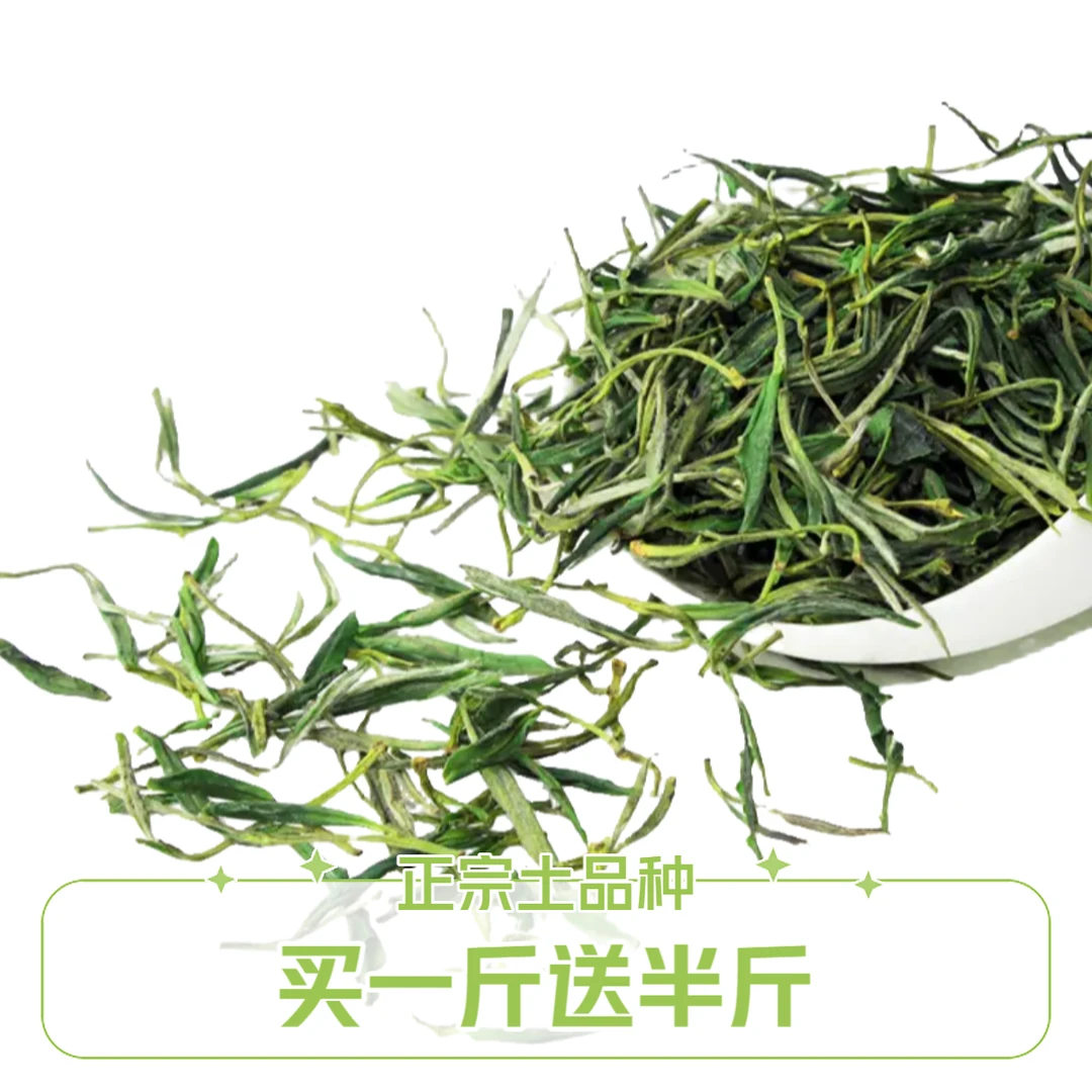黄山毛峰M2 歙县正宗土品种 春茶绿茶 浓香型 经典袋装