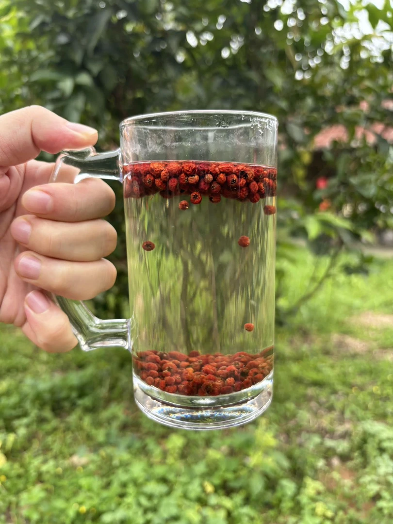 【娜娜推荐】现收土特产 紫-杉-果250--500克-1000克食用农产品