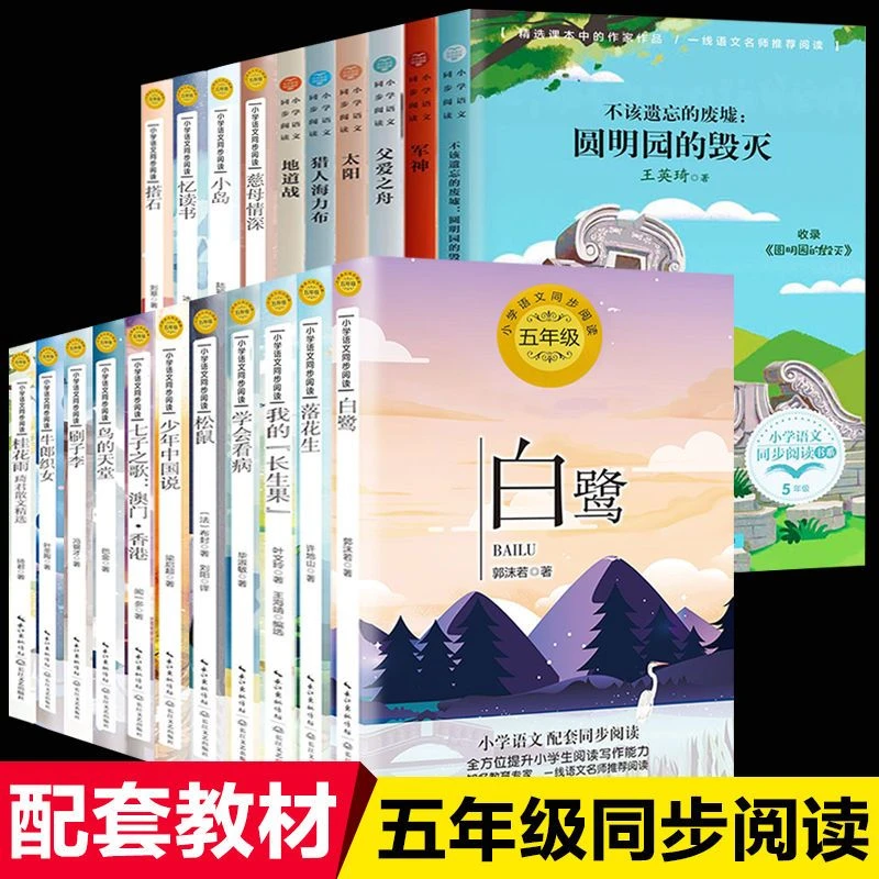 21册五年级必读课外书籍圆明园的毁灭地道战猎人海力布少年中国说