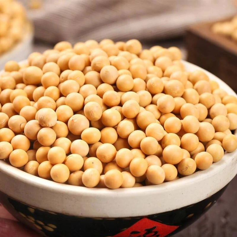 苏南五彩 黄豆250g 农家自产正宗天然黄豆 均匀饱满食用营养健康