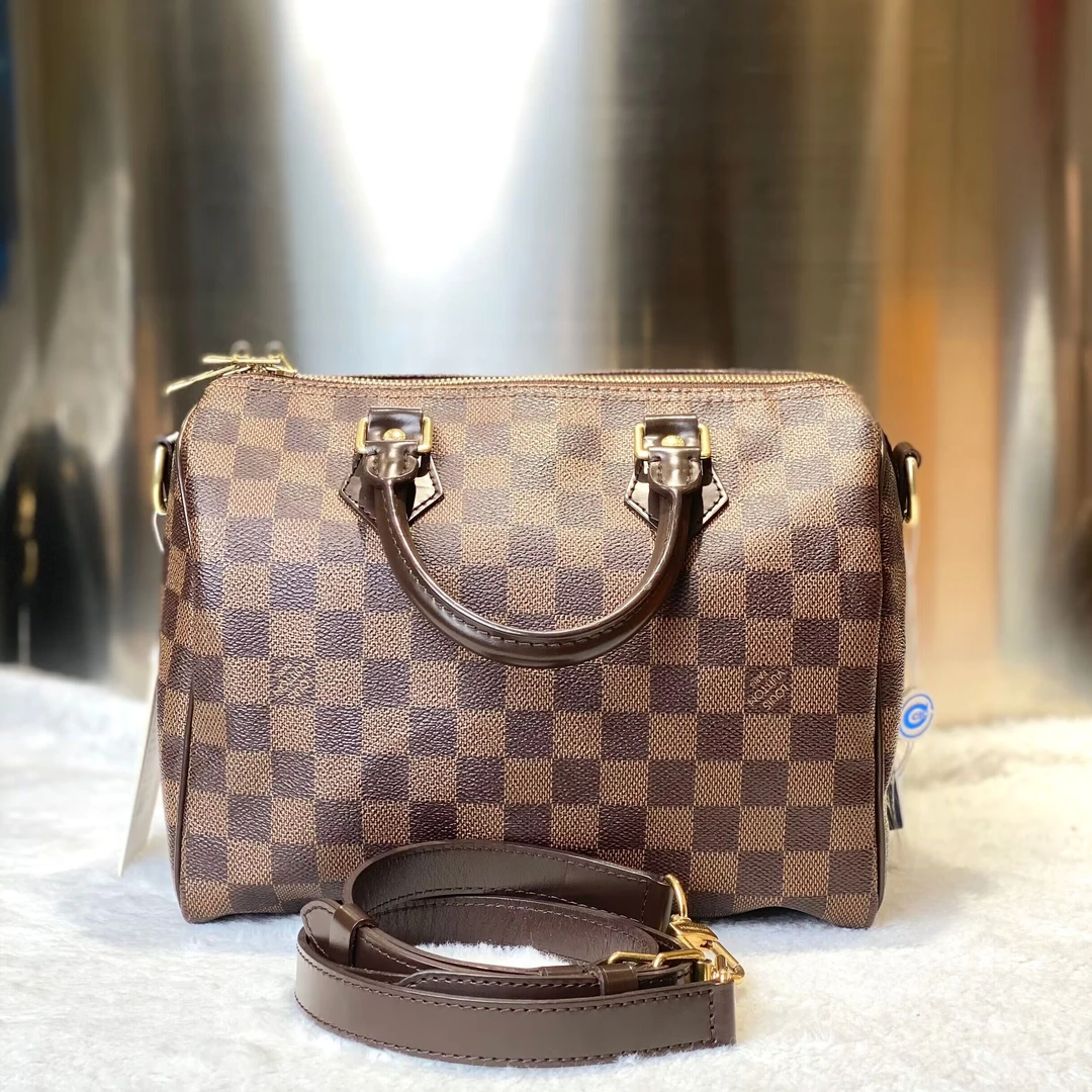 99新 LouisVuitton/路易威登 爱马98新25棋盘格枕头肩带款8495