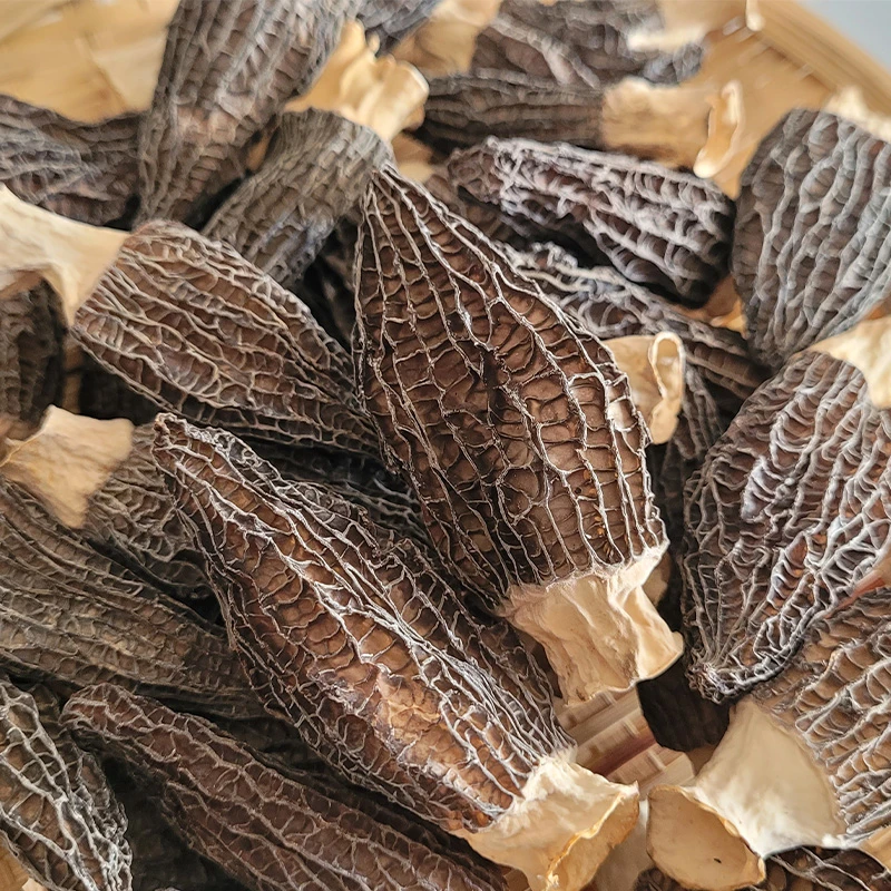 【燕品乐】羊肚菌5-8cm（50g/100g）
