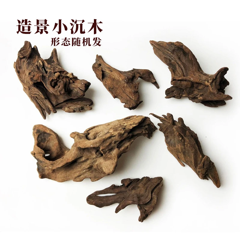 鱼缸造景天然小沉木秒沉紫柚木水族微景观乌龟缸虾缸躲避杜鹃根
