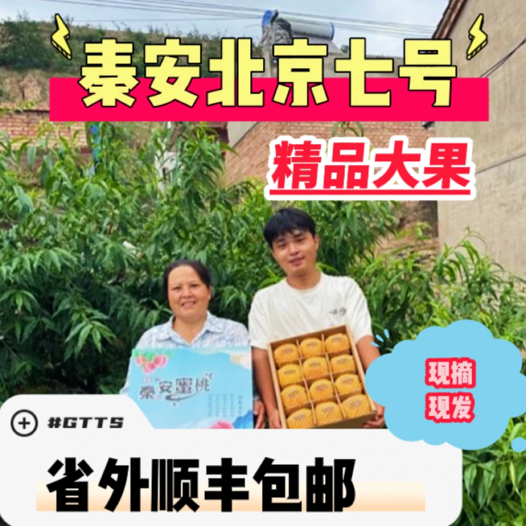 【省外顺丰包邮专属】秦安北京七号精品大果12/16个装
