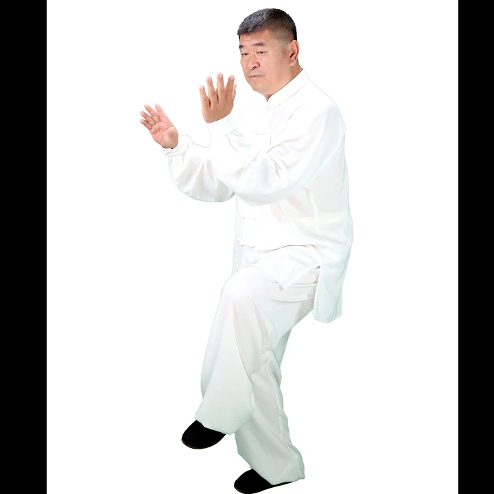 洪传陈式沃野功夫太极十三式