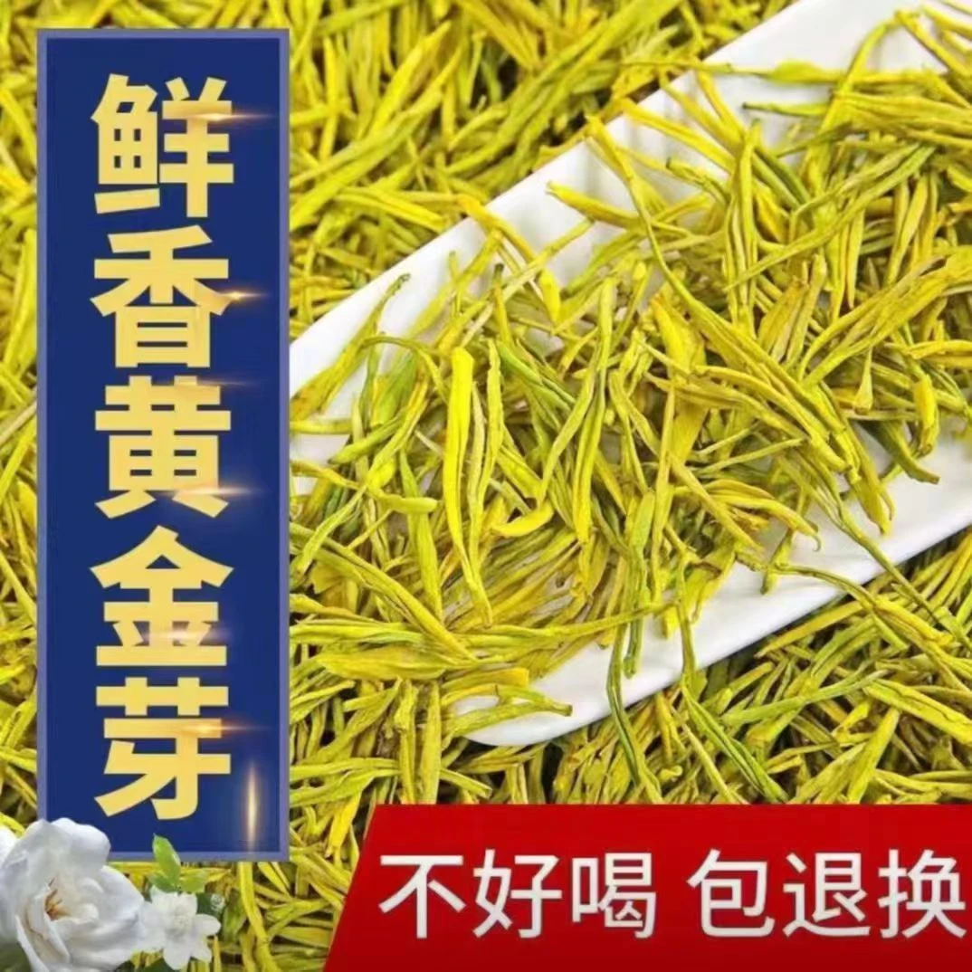 通用款6】2024新茶甄选口粮黄金芽高山茶茶香浓香耐泡豆香型罐装