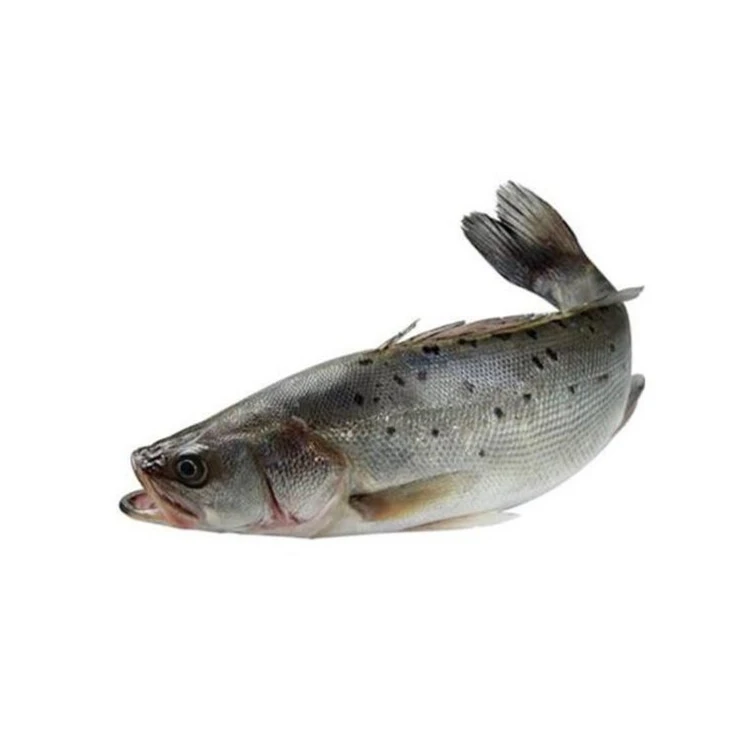 鲈鱼400-500g/条(默认宰杀)
