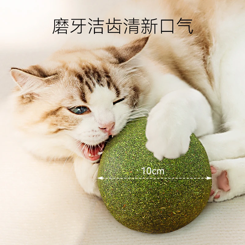 [达人]猫玩具猫薄荷球超大木天蓼猫草球自嗨解闷逗猫磨牙用品2126