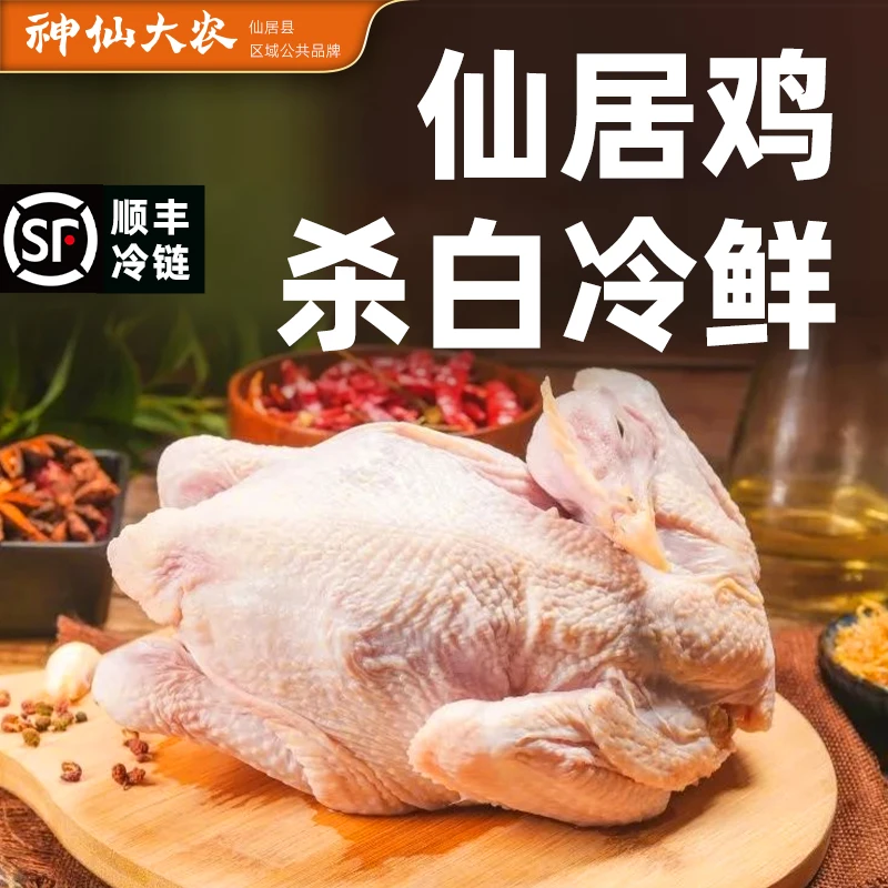 【尝鲜价】神仙大农仙居特色名禽仙居鸡生鲜鸡一只 包冰率不含冰
