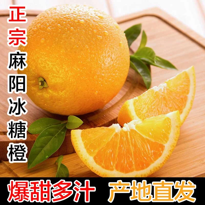 正宗湖南麻阳冰糖橙直供带箱8-9斤新鲜精选现摘应季水果T