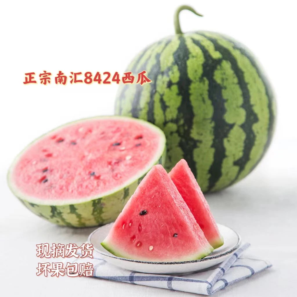 正宗上海南汇8424西瓜2只礼盒头藤西瓜时令新鲜水果1/2/4个