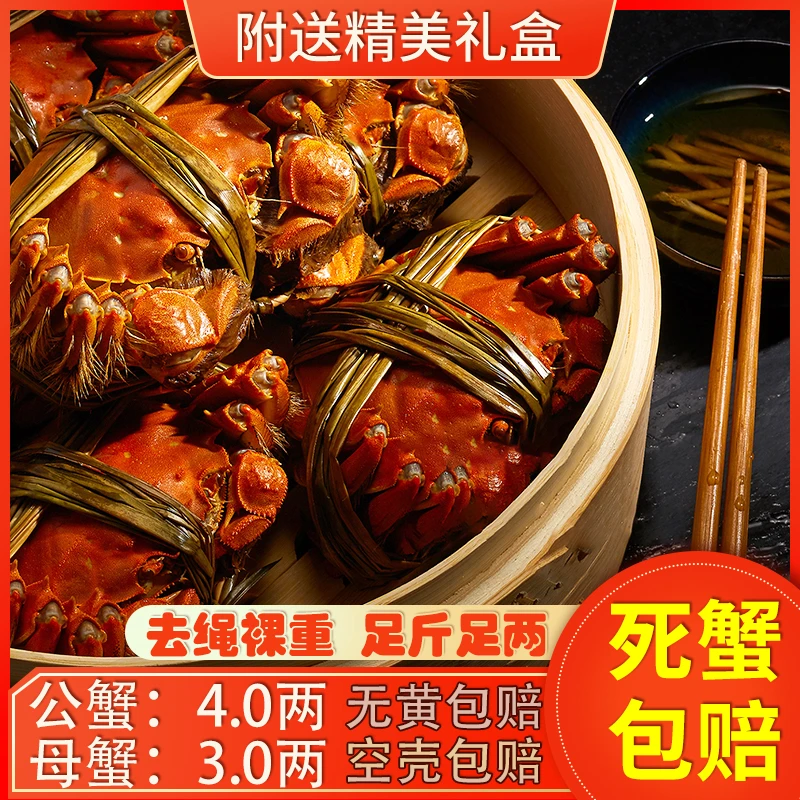 【拍下送2只】大闸蟹鲜活螃蟹新鲜公蟹4两母蟹3两4对8只装拍下多送2只 到手5对10只 顺丰京东冷链产地直发