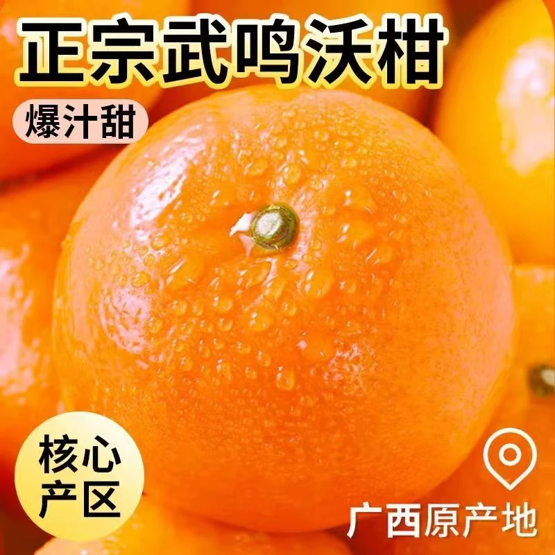 【欣】高山沃柑9.5-10斤带箱新鲜柑桔当季水果昆明/广西多仓发货