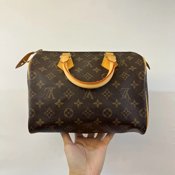 95新 LouisVuitton/路易威登 老花speedy25手提包