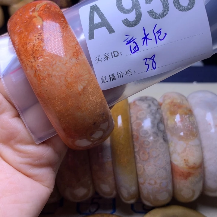 硅化玉颈饰未镶嵌音*