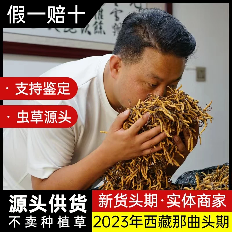 4根/克  西藏那曲虫草 23年新货