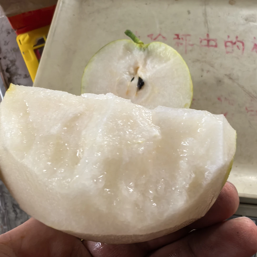 【包邮发货】新疆喀什丑梨4斤