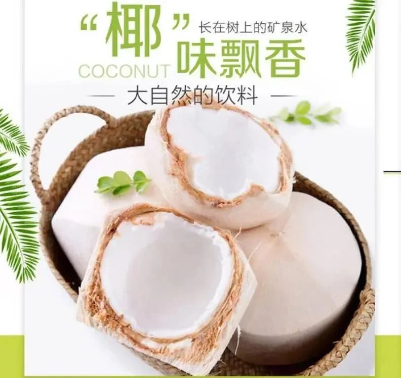 【京东包邮】泰国香水椰青新鲜去皮椰子甘甜好喝