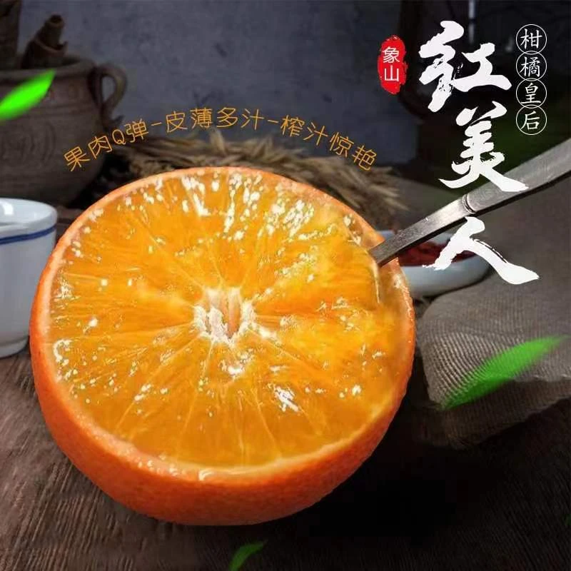 【外卖骑行侠专属】象山红美人现摘直发5斤包邮水果桔橙柑橘鲜甜汁