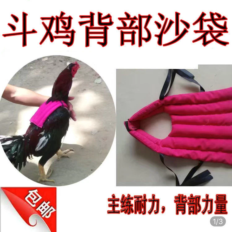 斗鸡训练用品 斗鸡背部沙袋 沙包 训练沙袋