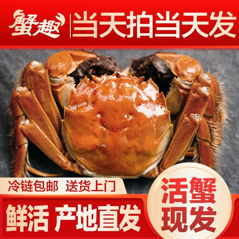 【活蟹】鲜活螃蟹 公3-2.7两5只+母1.7-2两5只 去绳净重产地直发