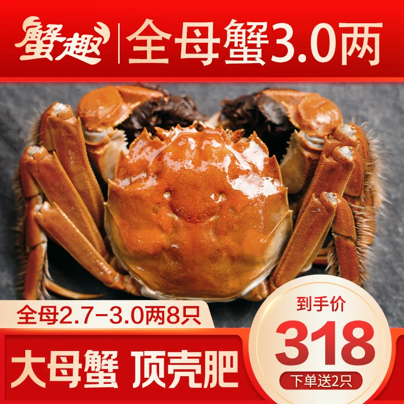 【活蟹】蟹趣大闸蟹 全母蟹3.0两 8只送2只 鲜活螃蟹 顺丰/京东包邮