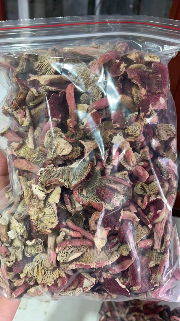 广西碎菇 直播间专享 广西浪水野生红菇 碎菇250g