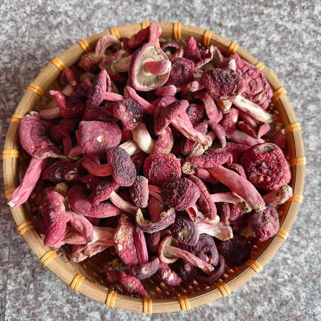 广西小标菇统货 野生红菇 月子菇 250g