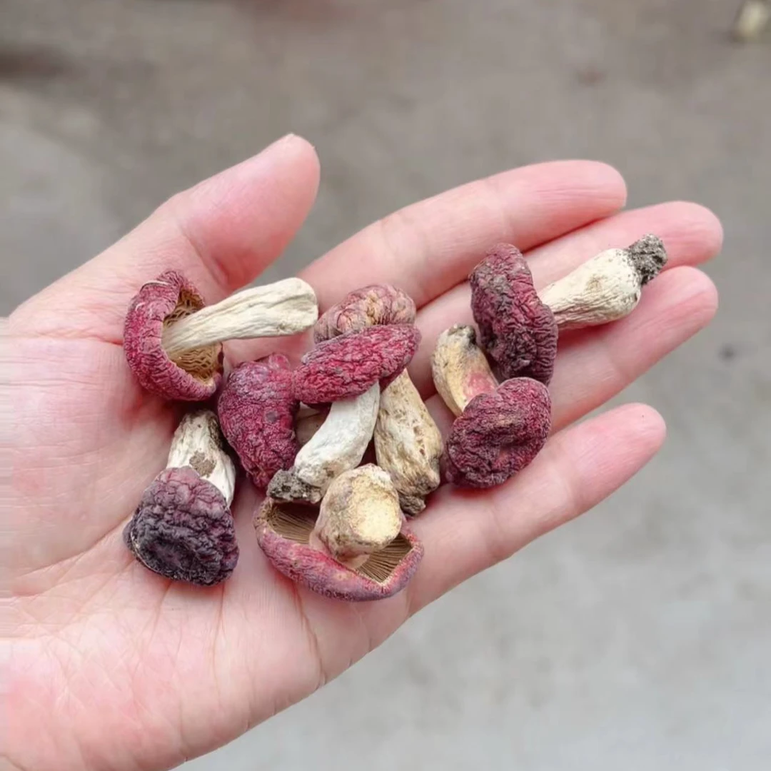 正宗野生红菇 河南产地菇蕾菇丁统货 250g