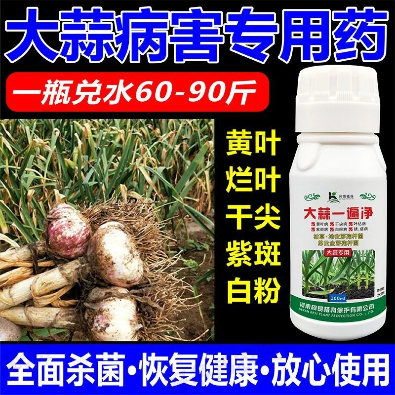 大蒜专用药病全治根腐病叶枯病紫斑病白腐病软腐病黄叶病通用