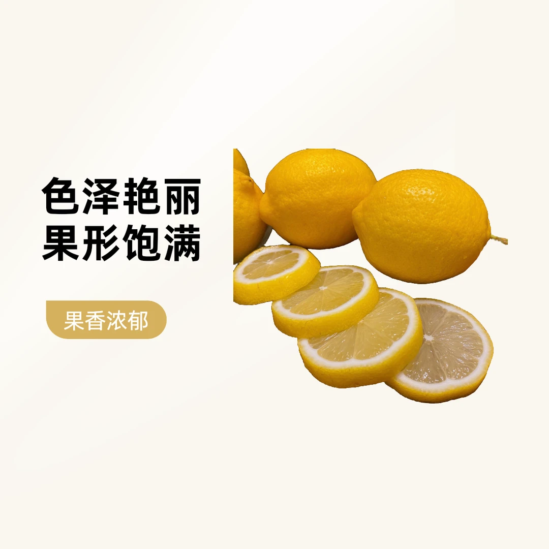 安岳黄柠檬2斤包邮!产地新鲜黄柠檬皮薄多汁应季水果榨汁切片试吃
