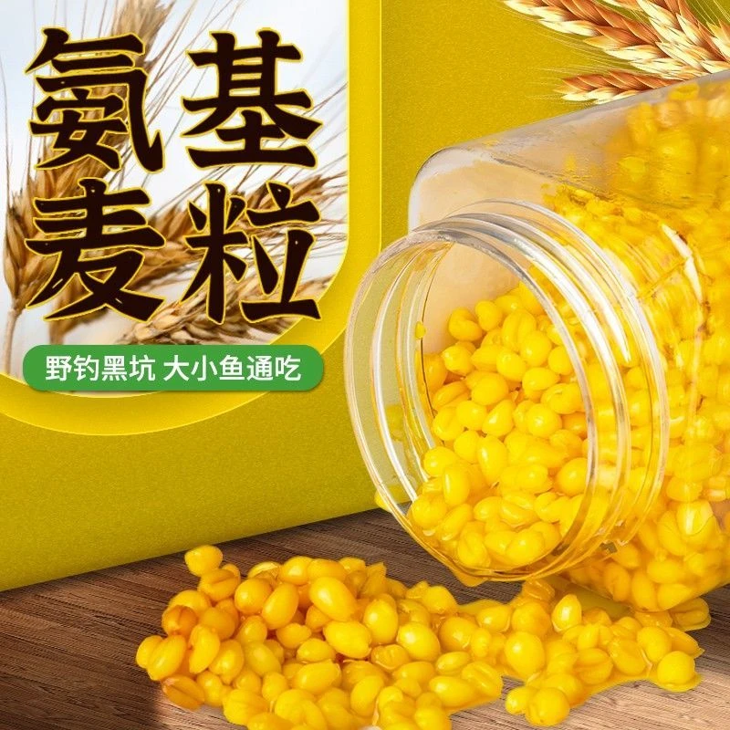 谷麦小麦钓铒料钓鱼饵麦粒鲫鱼鲤鱼鲢鳙野钓打窝麦子窝料鱼食鱼料