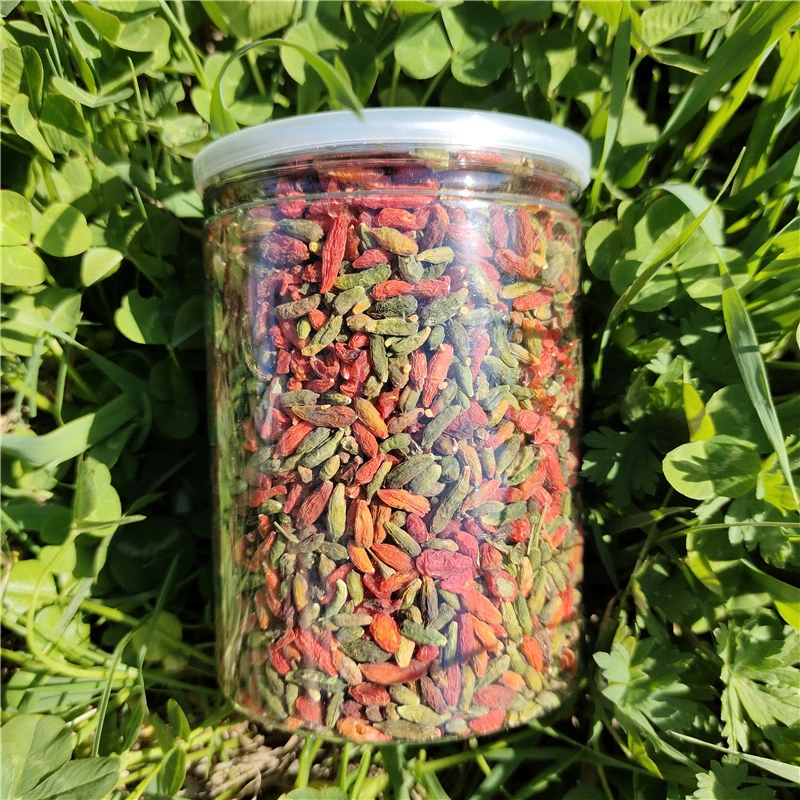 东北长白山枸杞野生枸杞子