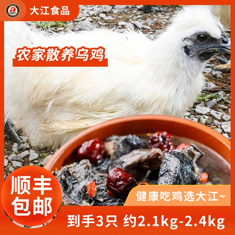 【大江】乌骨鸡700g以上新鲜现杀正宗乌鸡散养活鸡现杀整只顺丰包邮