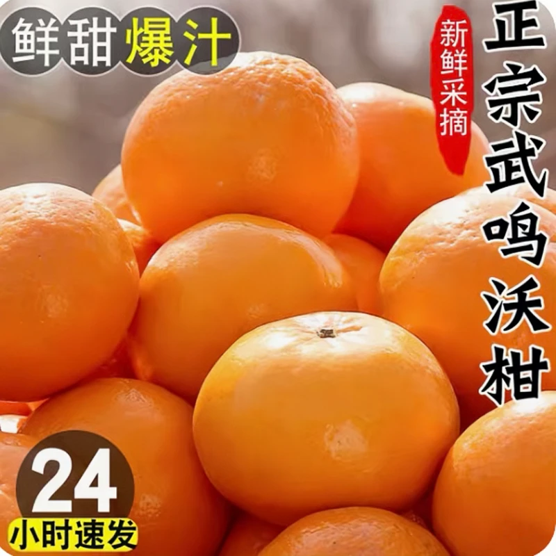 正宗广西沃柑超甜多汁武鸣新鲜采摘成熟大果皮薄桔橘子香甜爽口