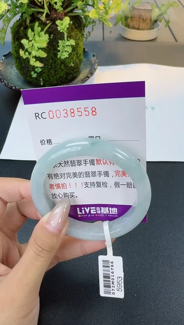 【闪购商品】翡翠手镯未镶嵌翡翠手镯圈口 54.1