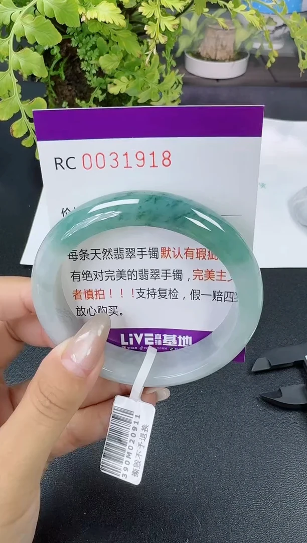 【闪购商品】翡翠手镯未镶嵌翡翠手镯圈口 56.5