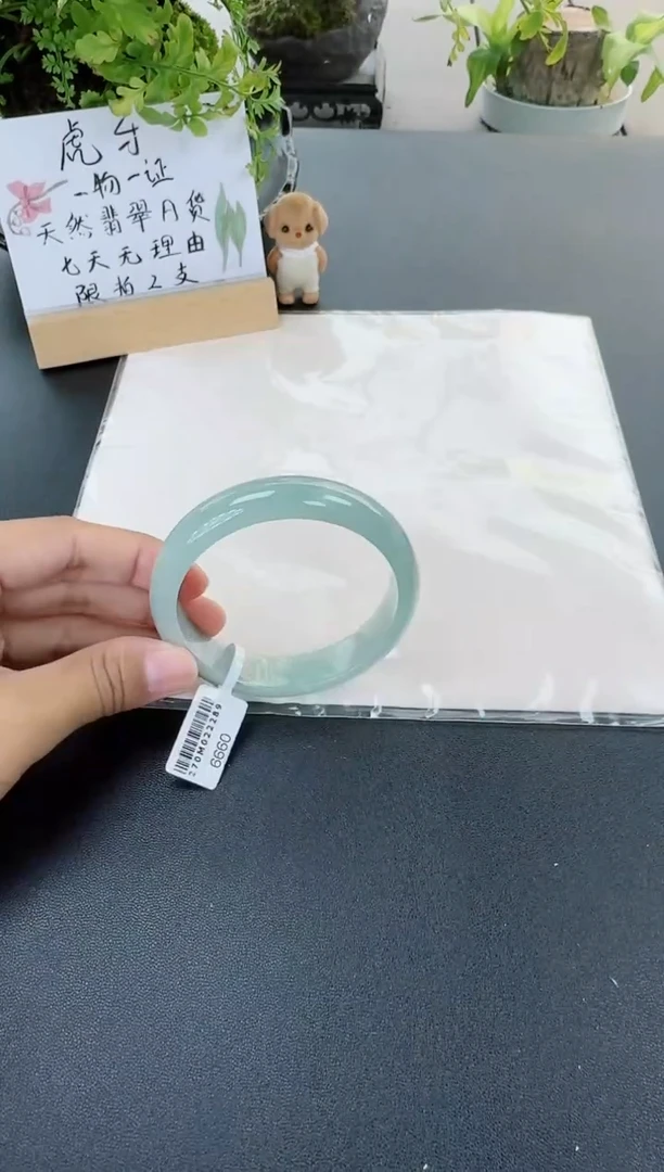 【闪购商品】翡翠手镯未镶嵌翡翠手镯圈口59.1