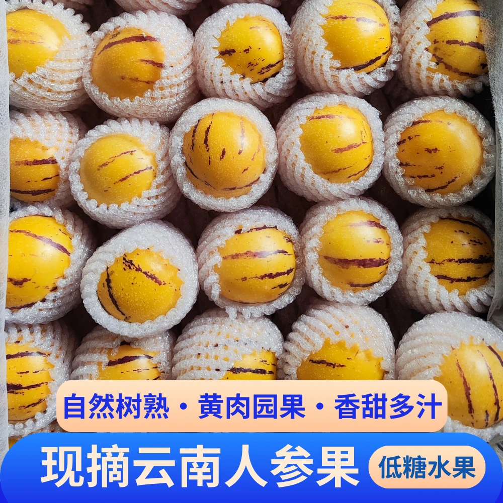 云南特产石林人参果产地直发坏果包赔人生果云南正宗人参果黄果